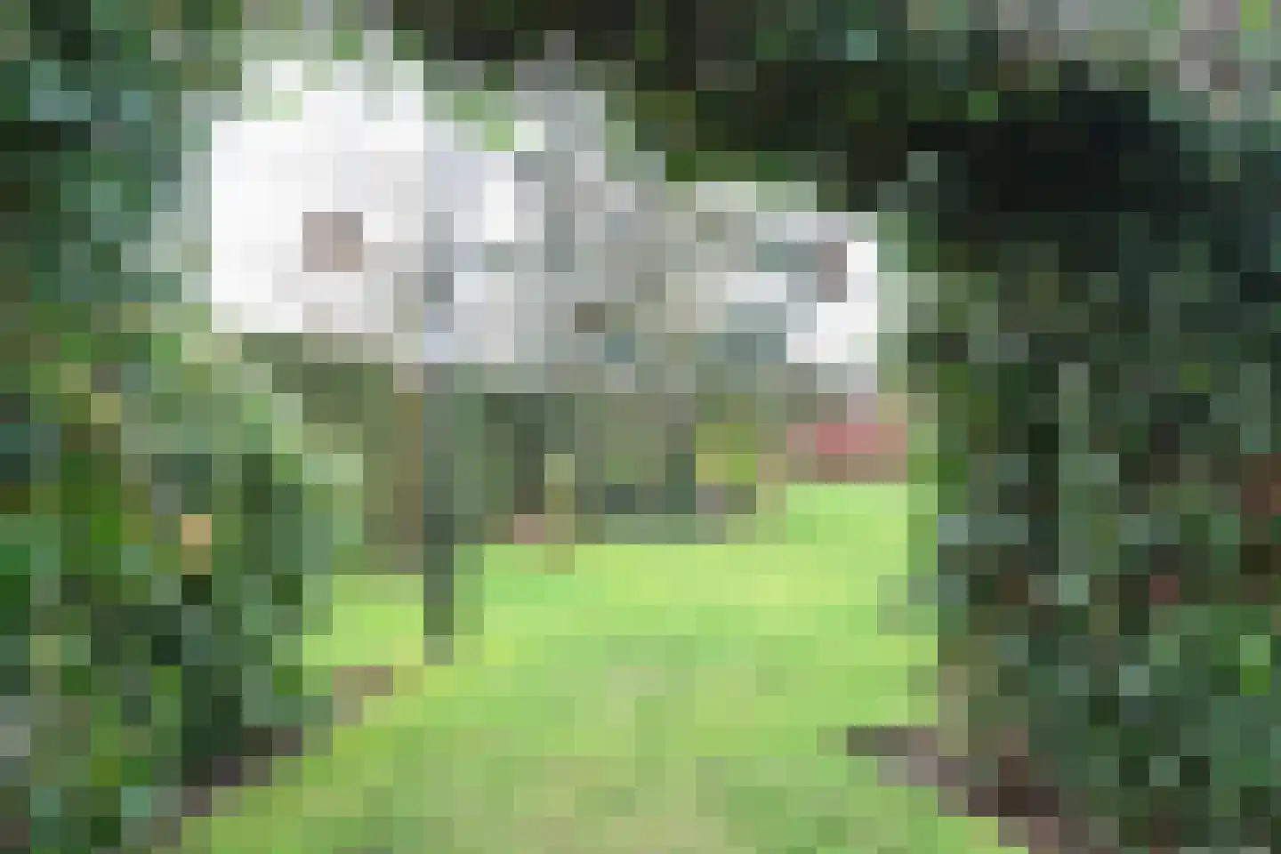 Ried 14 Leeuwarden thumbnail 57
