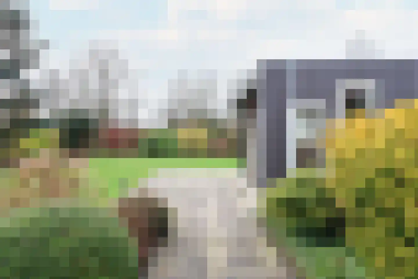 Ried 14 Leeuwarden thumbnail 60
