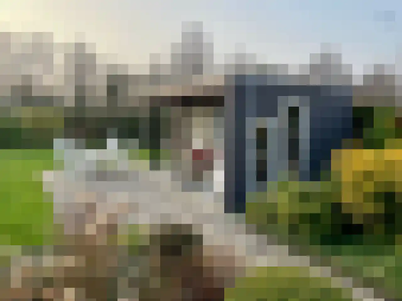 Ried 14 Leeuwarden thumbnail 63