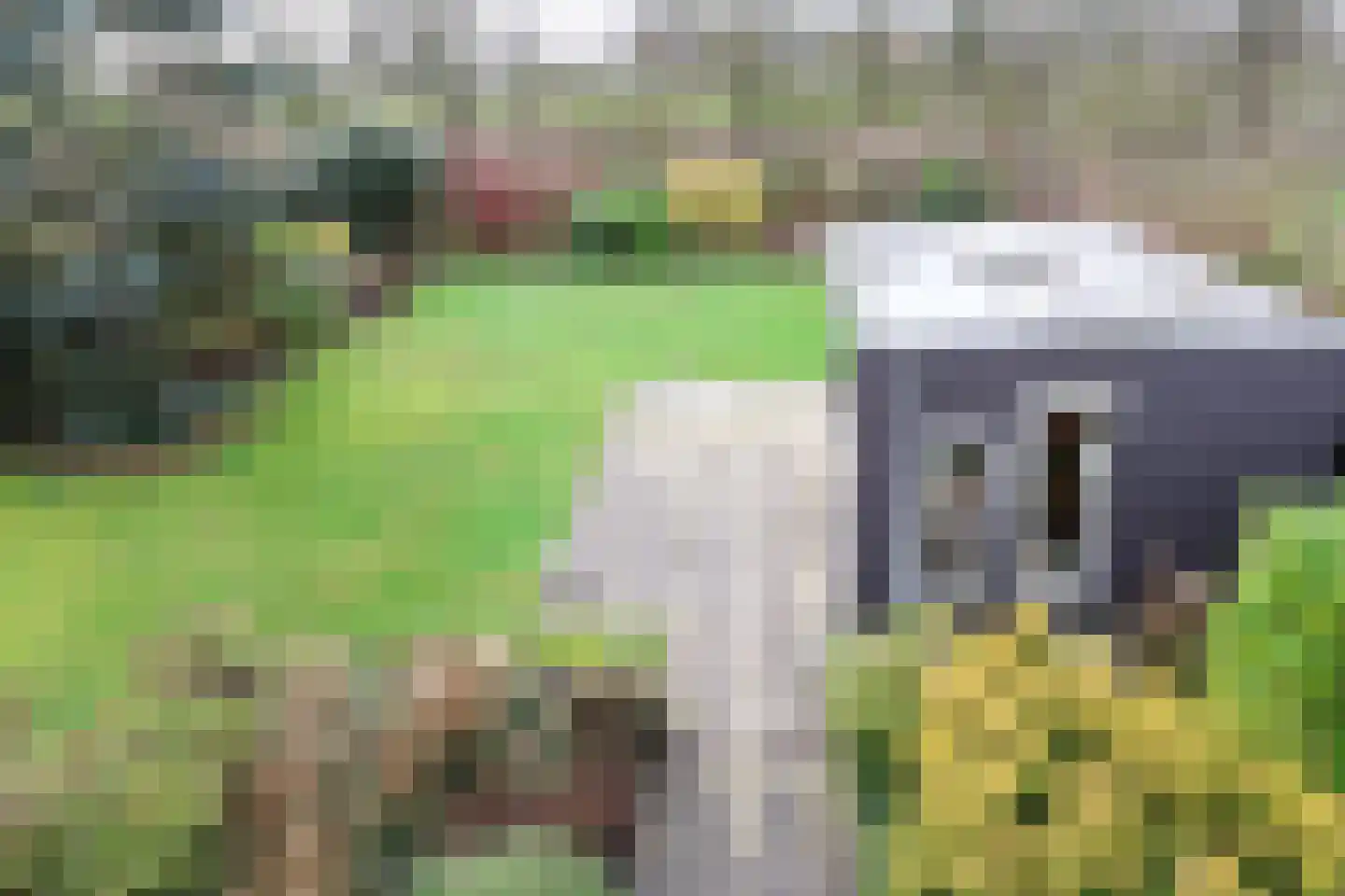 Ried 14 Leeuwarden thumbnail 9