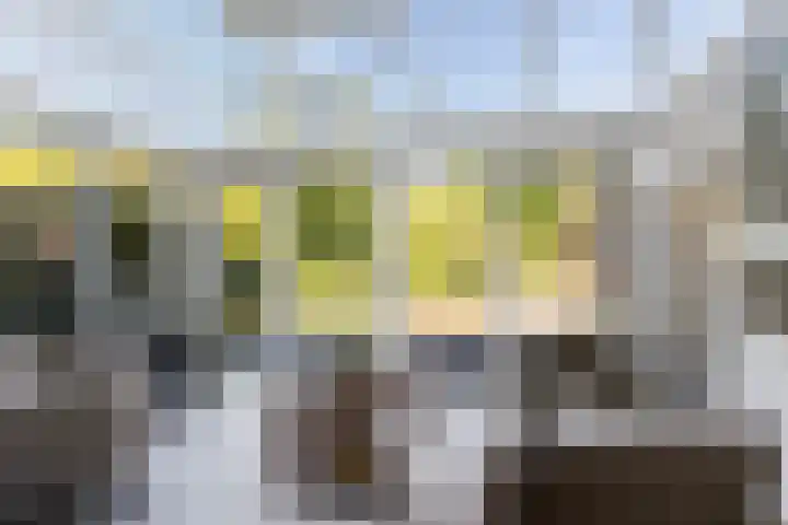 Ried 18 Leeuwarden thumbnail 18