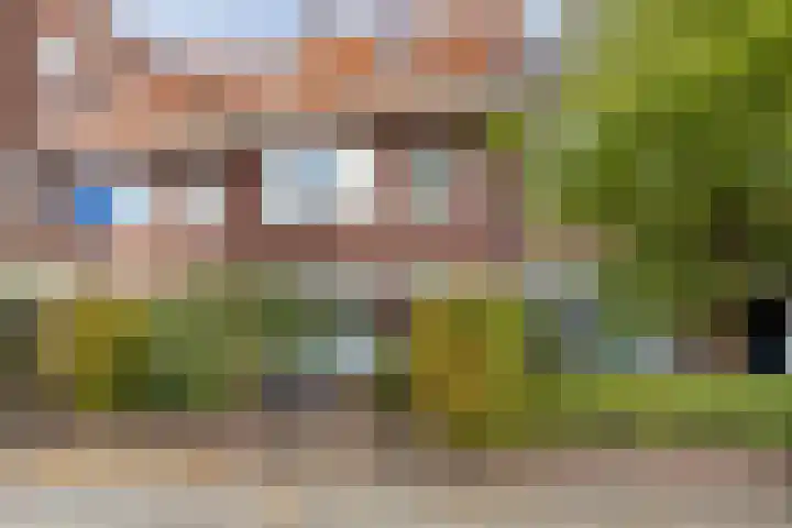 Ried 18 Leeuwarden thumbnail 27
