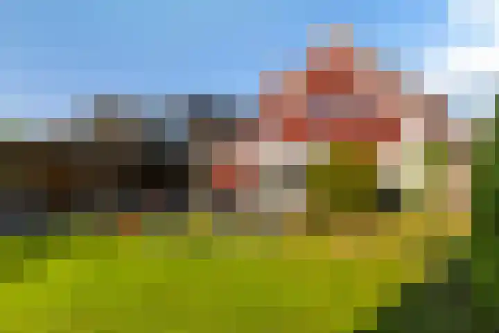 Ried 18 Leeuwarden thumbnail 27