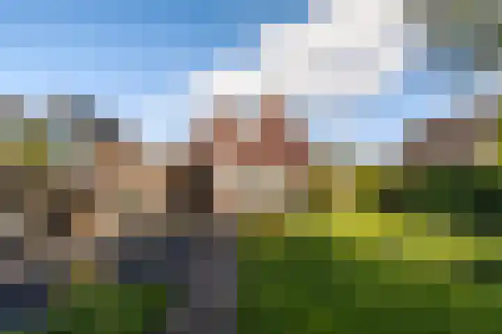 Ried 18 Leeuwarden thumbnail 28