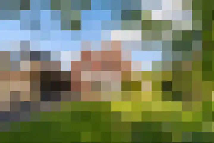Ried 18 Leeuwarden thumbnail 29
