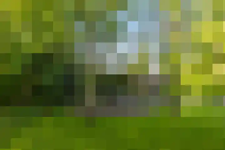 Ried 18 Leeuwarden thumbnail 30