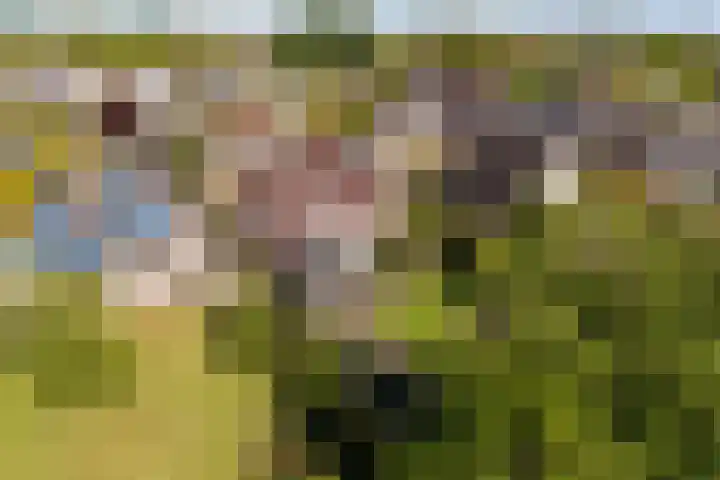 Ried 18 Leeuwarden thumbnail 32