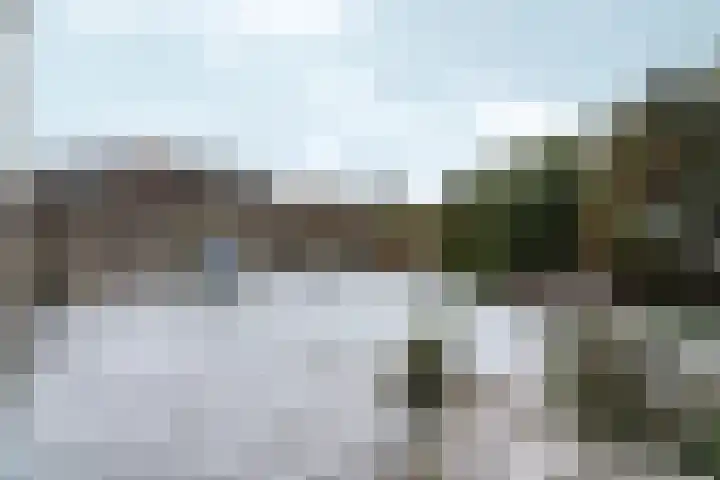 Ried 18 Leeuwarden thumbnail 33