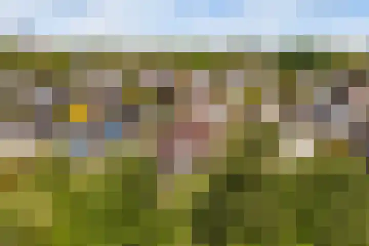 Ried 18 Leeuwarden thumbnail 33
