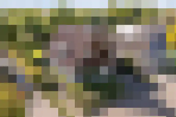 Ried 18 Leeuwarden thumbnail 5