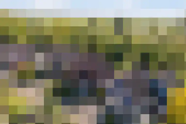 Ried 18 Leeuwarden thumbnail 56