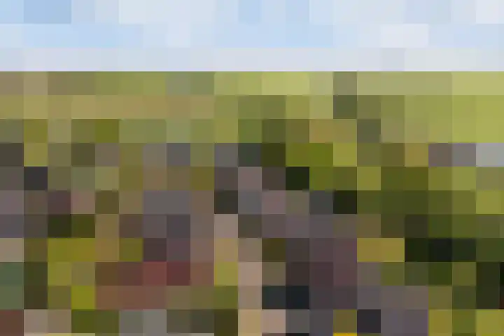 Ried 18 Leeuwarden thumbnail 57