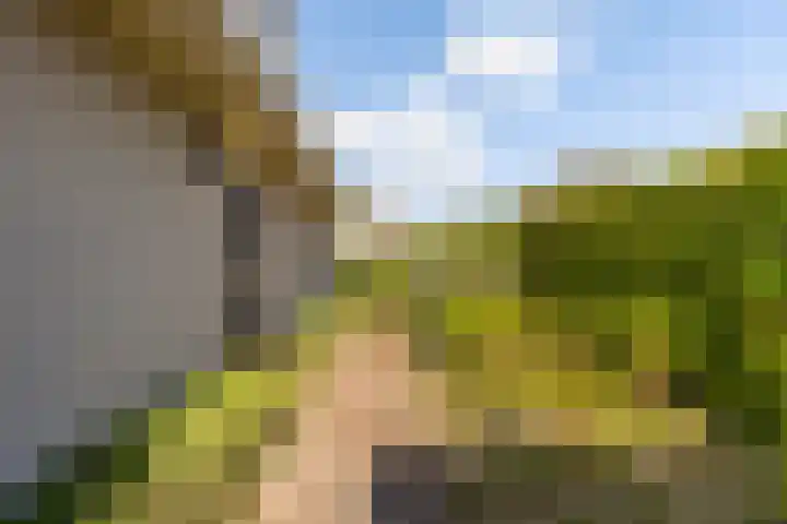Ried 18 Leeuwarden thumbnail 6