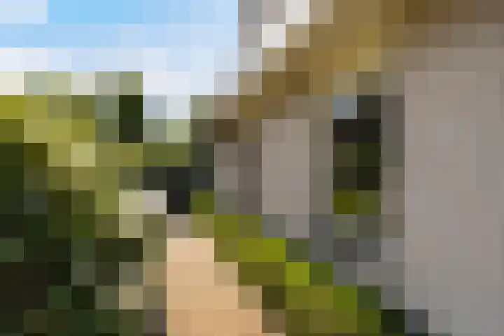 Ried 18 Leeuwarden thumbnail 7