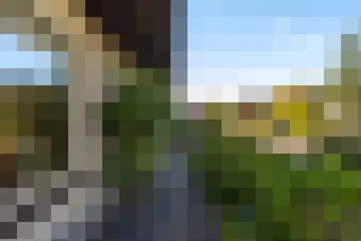 Ried 18 Leeuwarden thumbnail 9