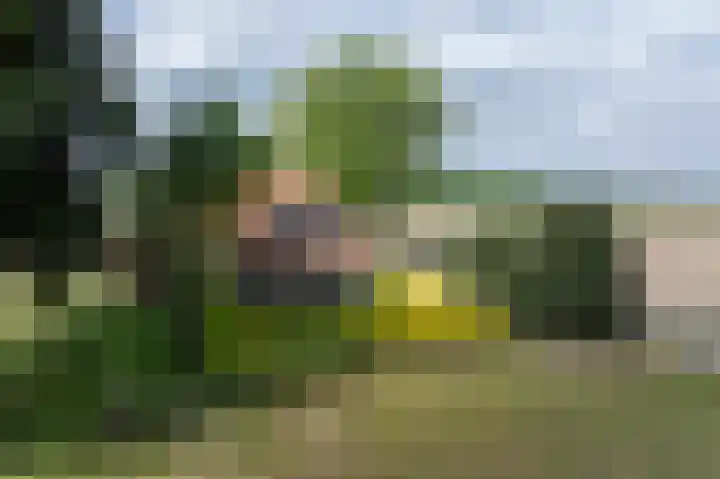 Ried 19 Leeuwarden thumbnail 24