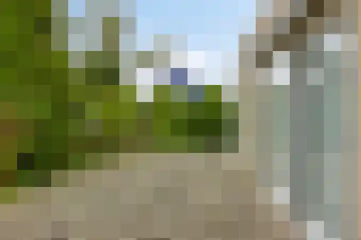 Ried 19 Leeuwarden thumbnail 25