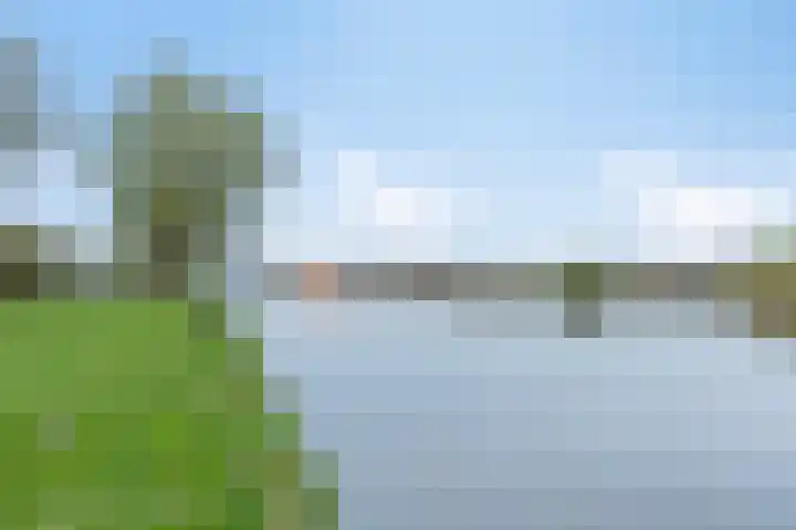 Ried 19 Leeuwarden thumbnail 31