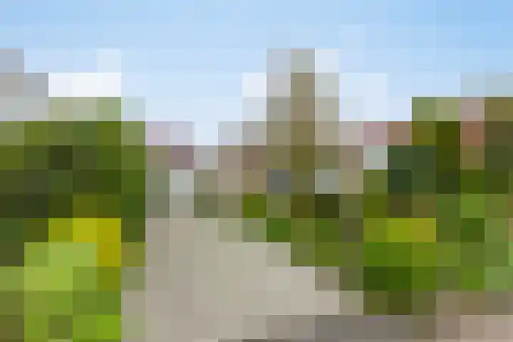 Ried 19 Leeuwarden thumbnail 35