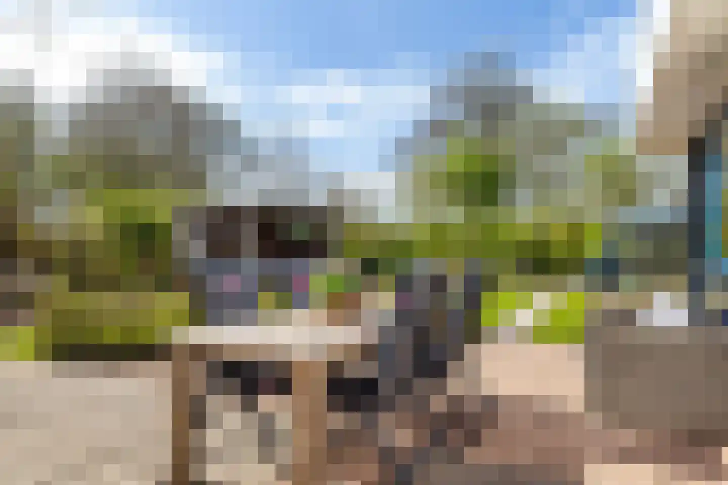 Ried 24 Leeuwarden thumbnail 24