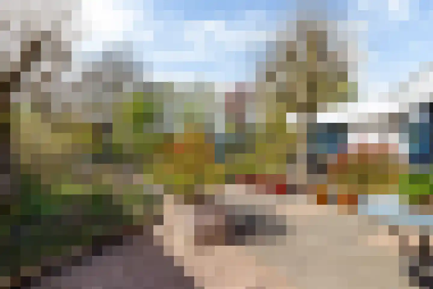 Ried 24 Leeuwarden thumbnail 29