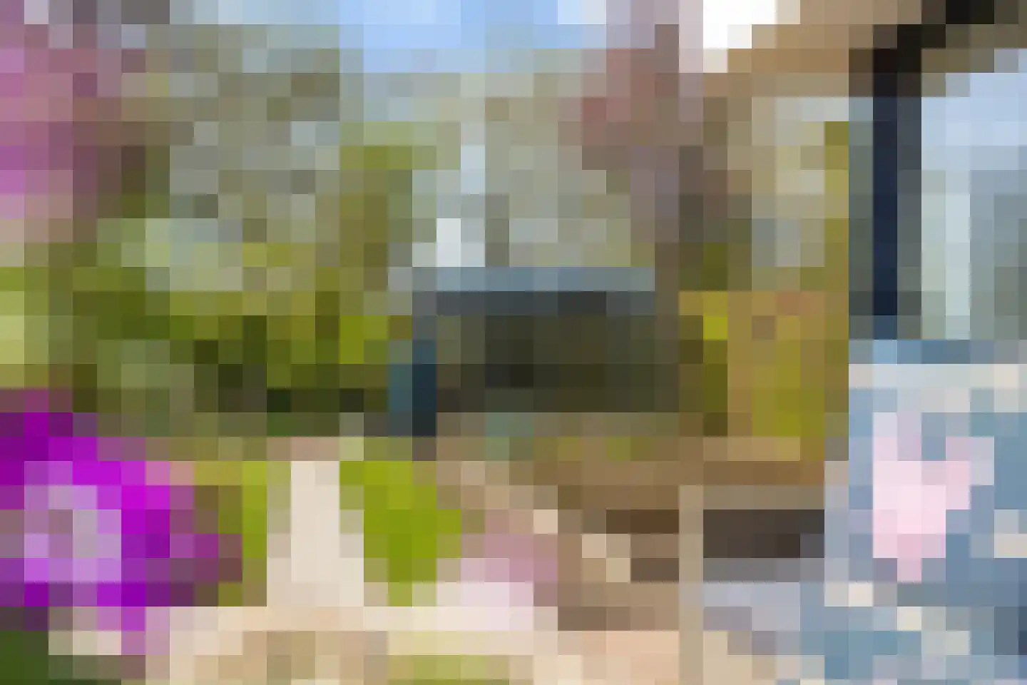 Ried 24 Leeuwarden thumbnail 31