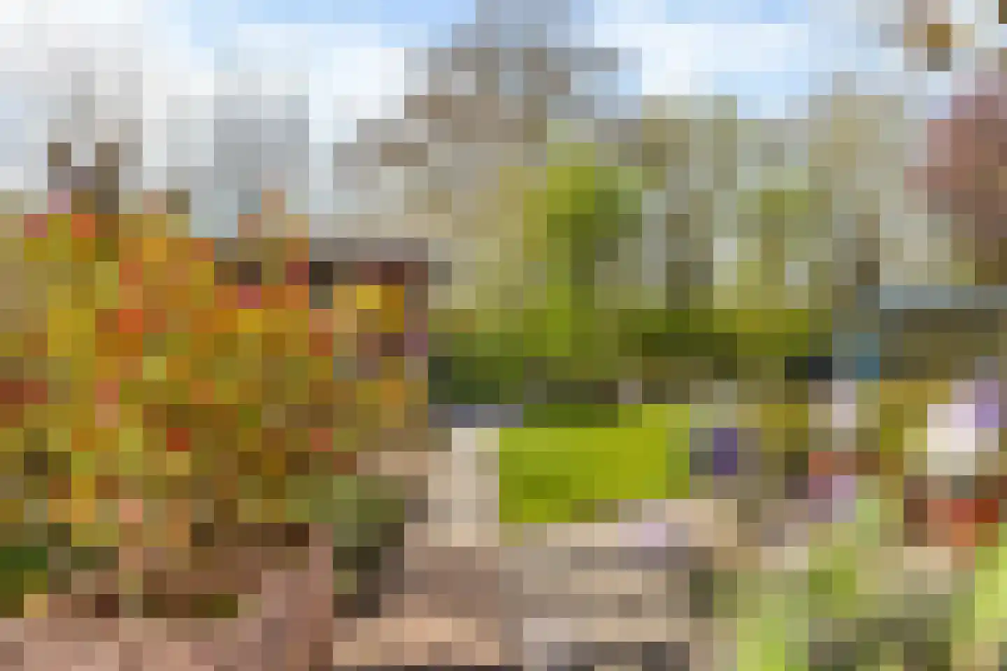 Ried 24 Leeuwarden thumbnail 33