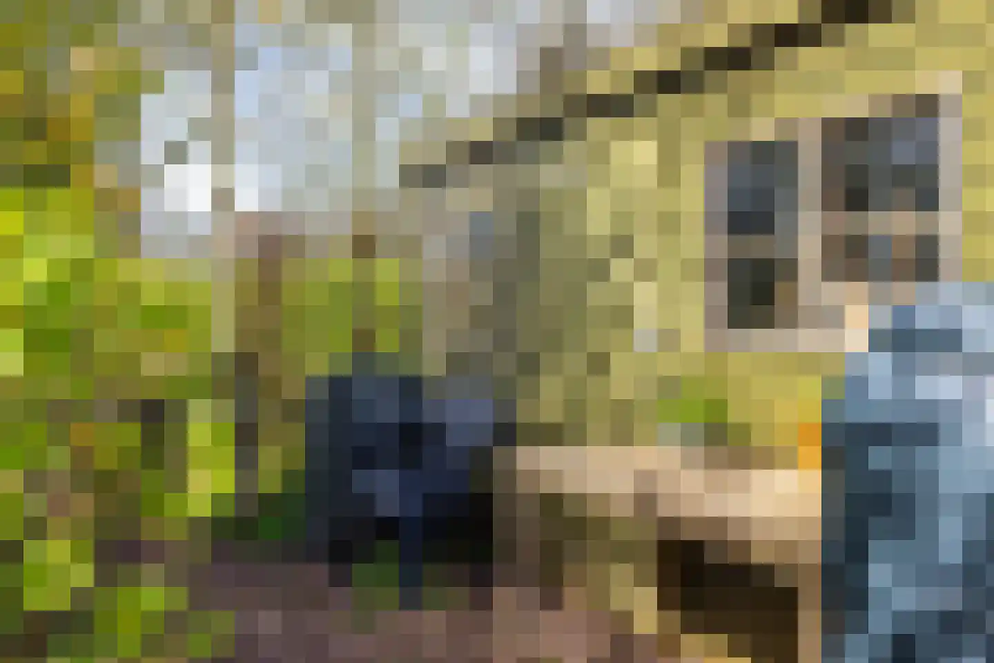 Ried 24 Leeuwarden thumbnail 35