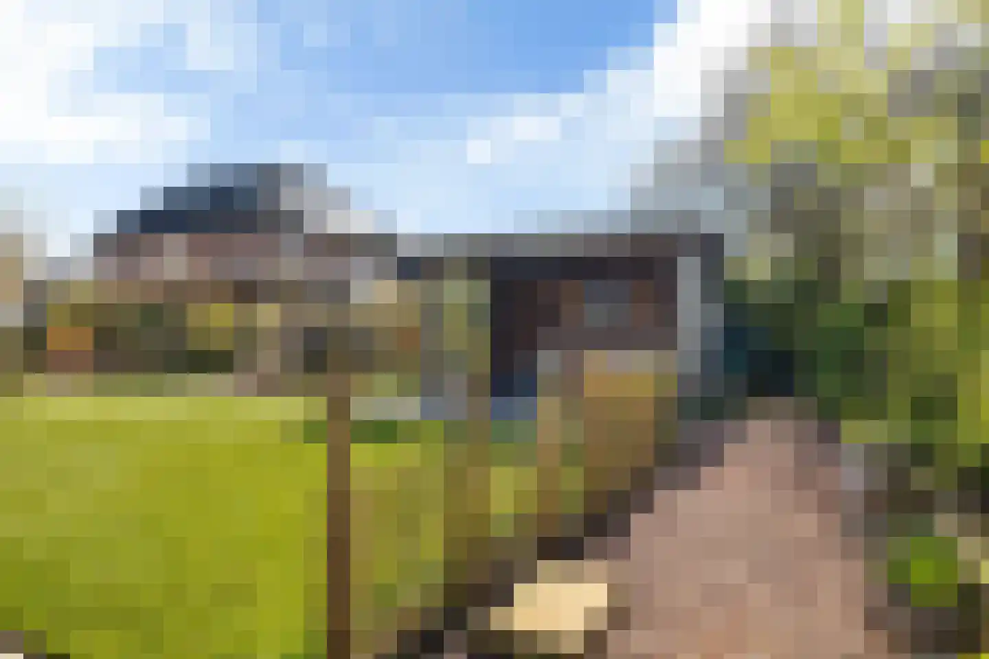 Ried 24 Leeuwarden thumbnail 37