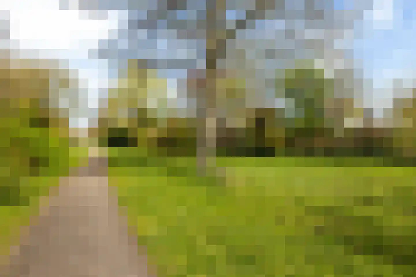 Ried 24 Leeuwarden thumbnail 66