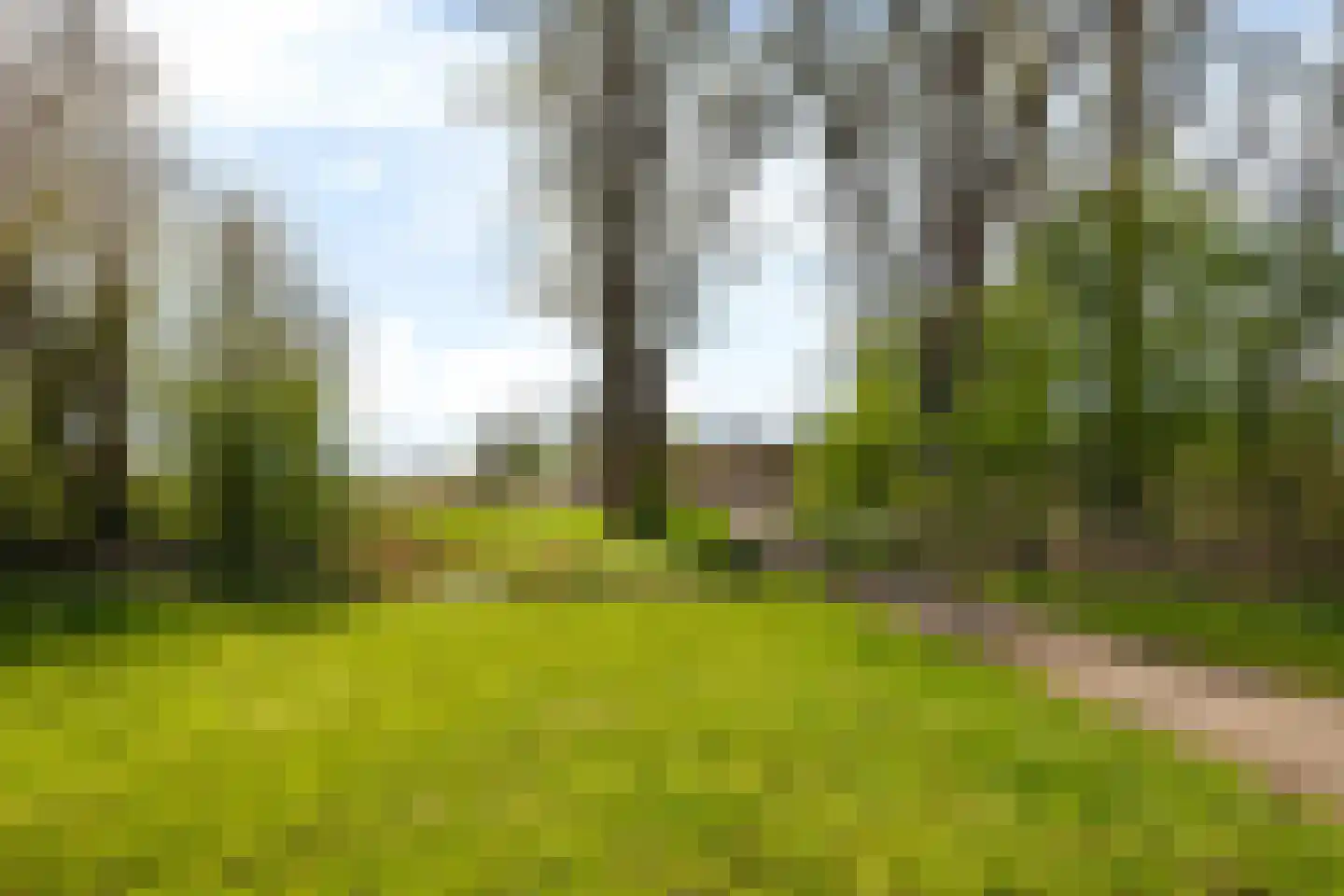 Ried 24 Leeuwarden thumbnail 67