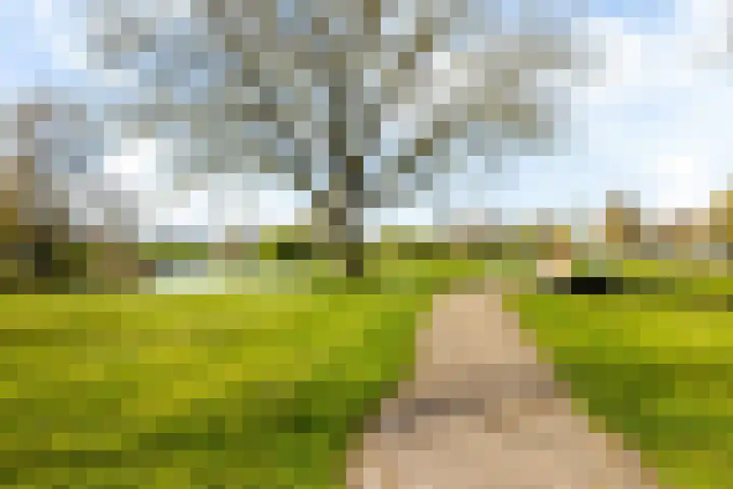Ried 24 Leeuwarden thumbnail 68