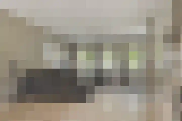 Riederakker 23 Barendrecht thumbnail 16