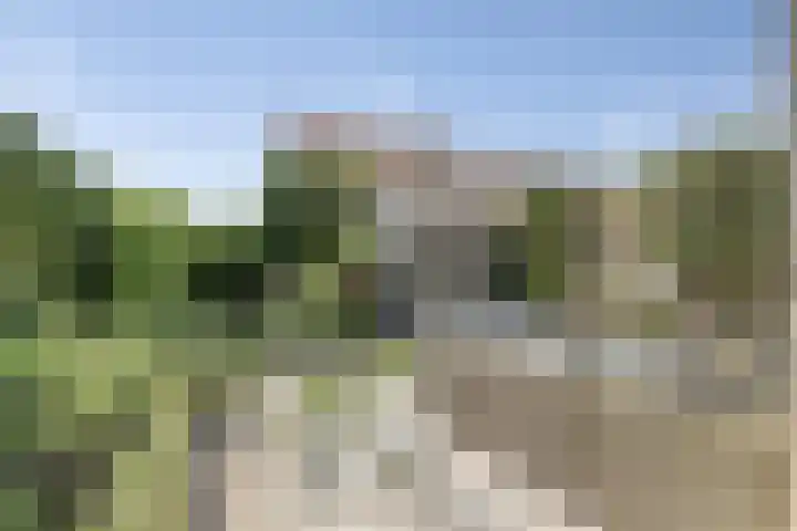 Riederakker 23 Barendrecht thumbnail 33
