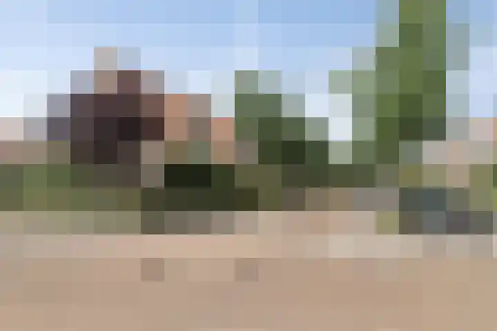 Riederakker 23 Barendrecht thumbnail 36