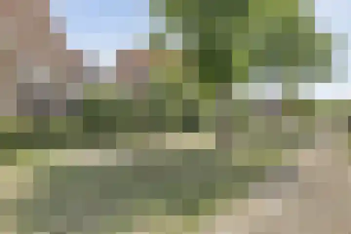 Riederakker 23 Barendrecht thumbnail 37