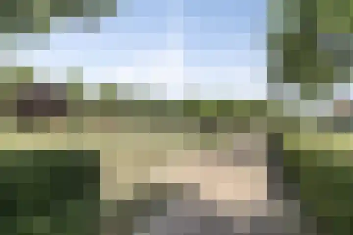 Riederakker 23 Barendrecht thumbnail 38