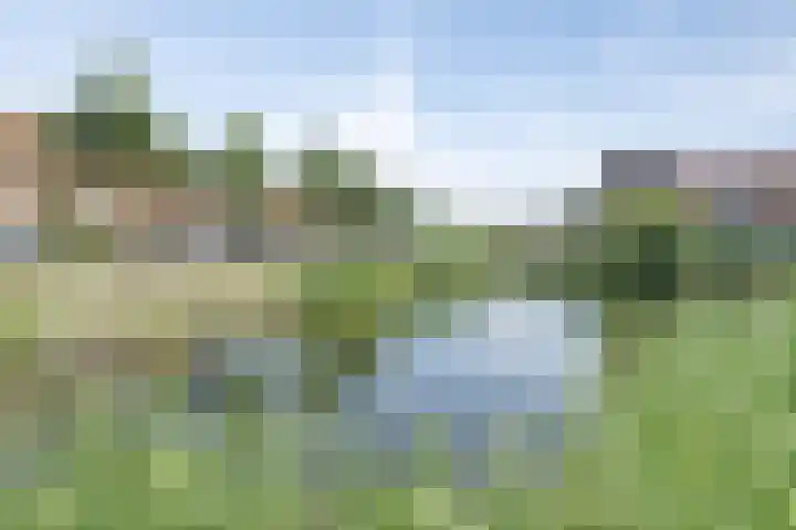 Riederakker 23 Barendrecht thumbnail 39