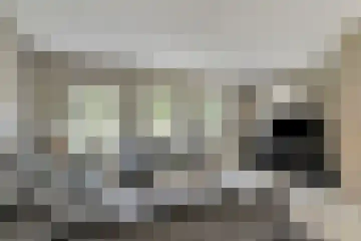 Riederakker 23 Barendrecht thumbnail 9