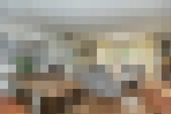 Riederare 3 Barendrecht foto 2