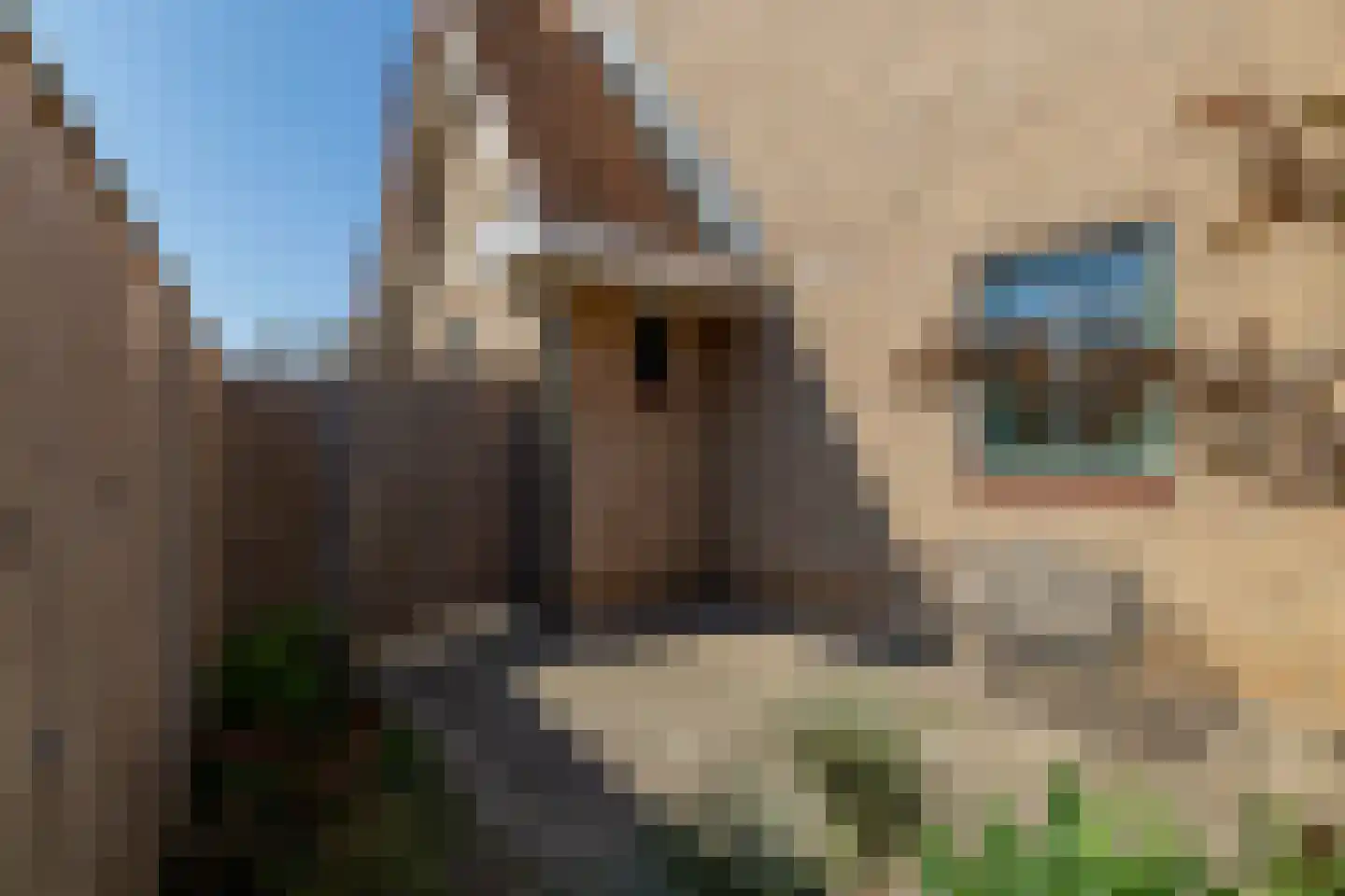 Riederbunder 26 Barendrecht thumbnail 48
