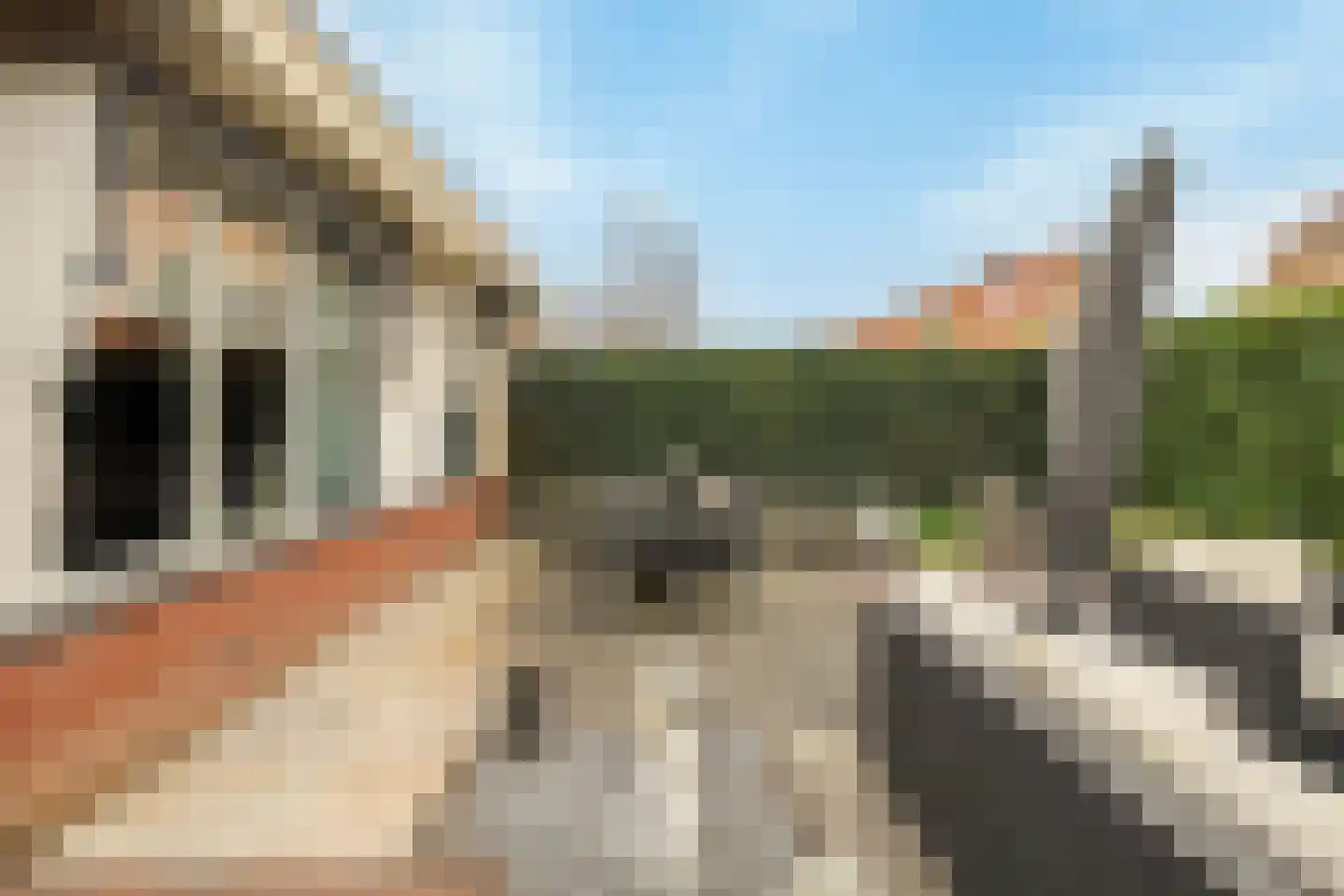Riedergaarde 12 Barendrecht thumbnail 39