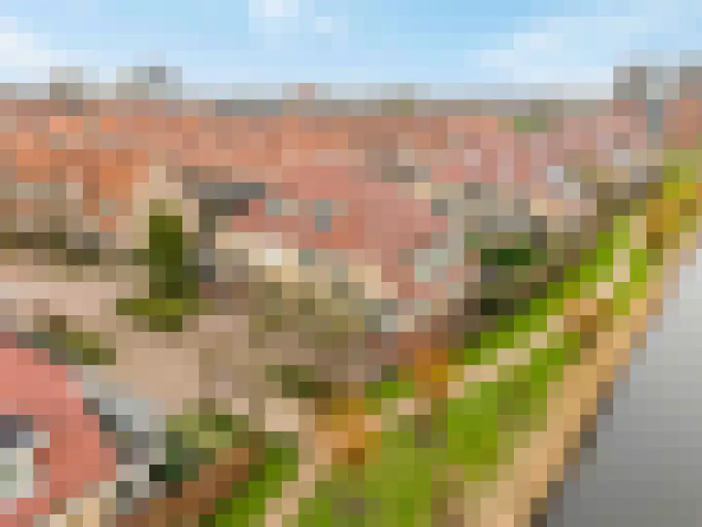 Riedergaarde 12 Barendrecht thumbnail 5