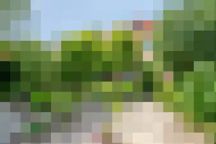 Riederhoeve 7 Barendrecht thumbnail 20