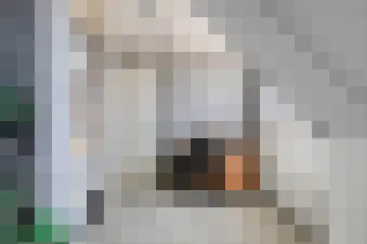 Riederhoeve 7 Barendrecht thumbnail 37