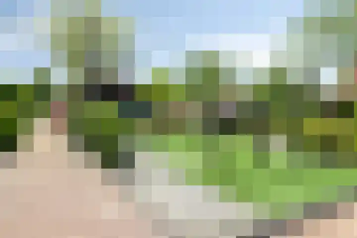 Riederhoeve 7 Barendrecht thumbnail 39