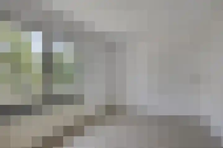 Riederlaan 96 Rotterdam thumbnail 17