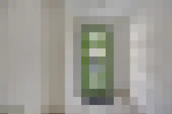 Riederlaan 96 Rotterdam foto 2