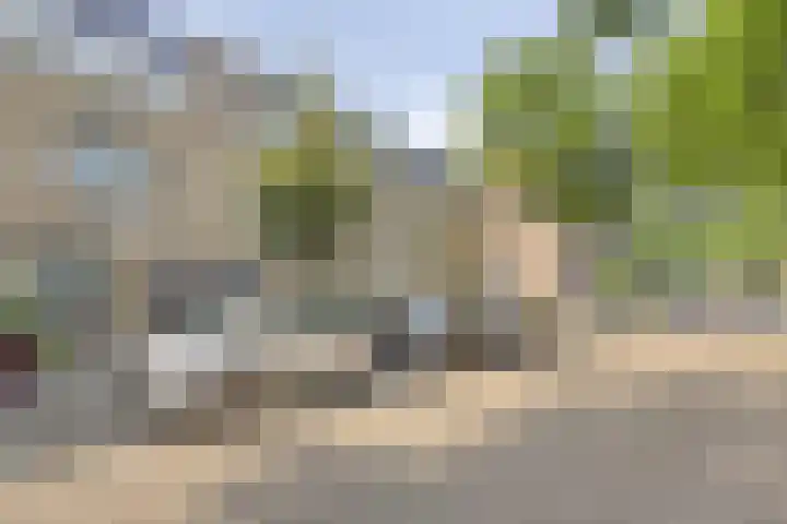 Riederlaan 96 Rotterdam thumbnail 20