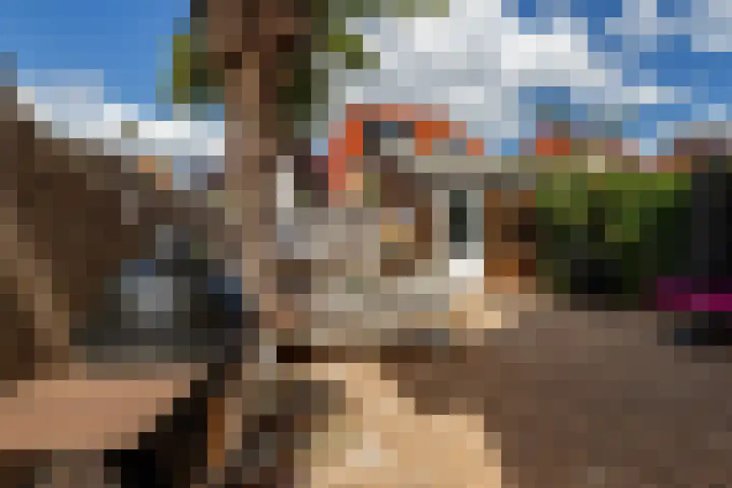 Riedermeet 26 Barendrecht thumbnail 33